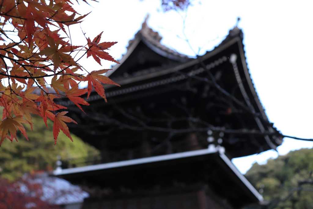 地元のお寺