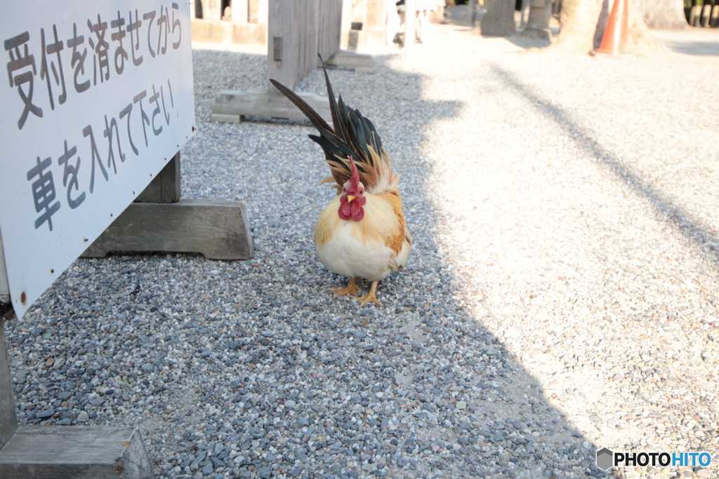 静かなる、守衛さん