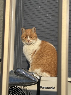 何見てのよ！
