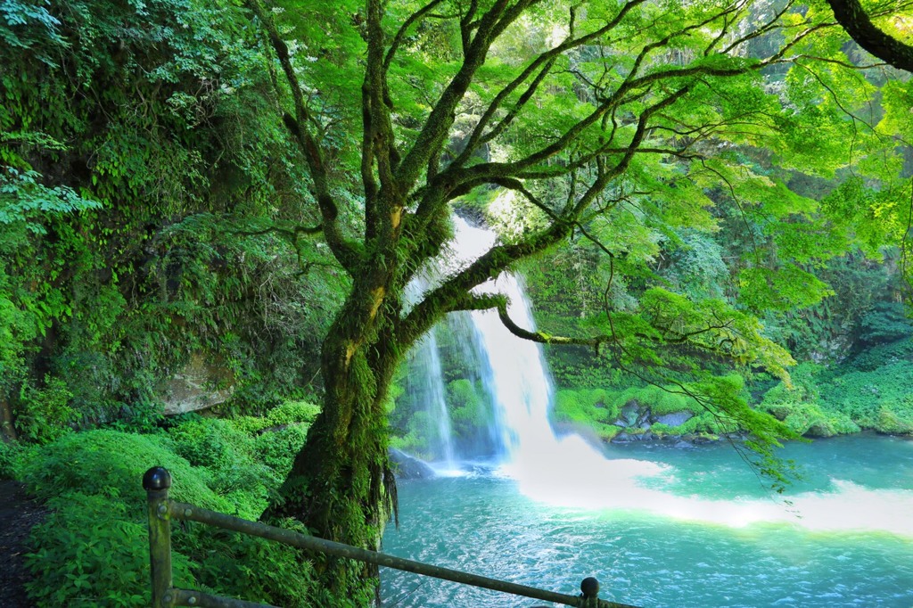 滝