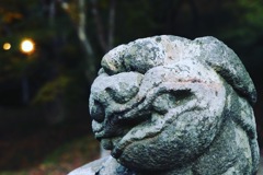 用作公園
