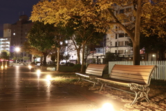 夜の公園  港