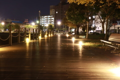 夜の公園 港