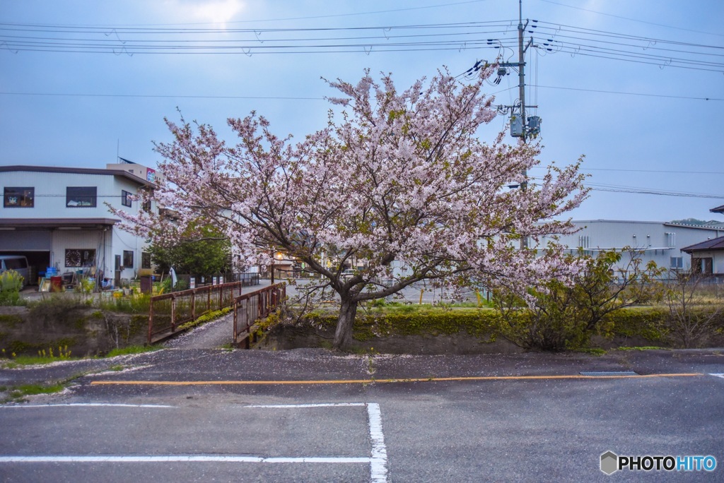 いつも近くに。