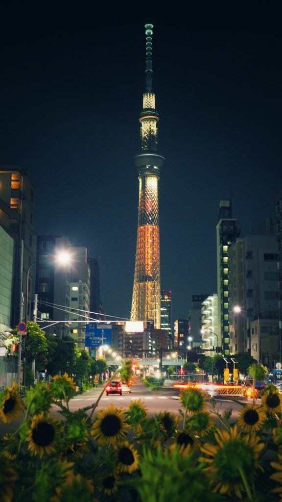 ひまわりとスカイツリー