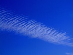 2018-10-0008B