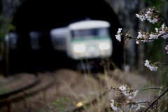 2019-03-0091B