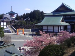 2019-03-0006B