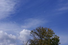 2018-10-0036B