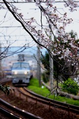 2019-03-0050B