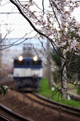 2019-03-0082B