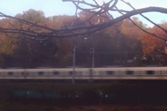 2018-11-0082B