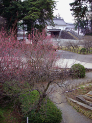 2019-02-0094B