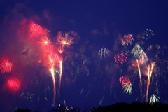 2018-08-0081B