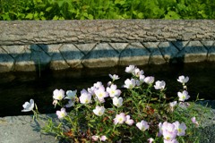 2018-05-0735B