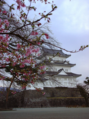 2019-02-0084B