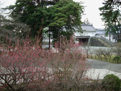 2019-02-0091B