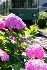 2018-06-0053B