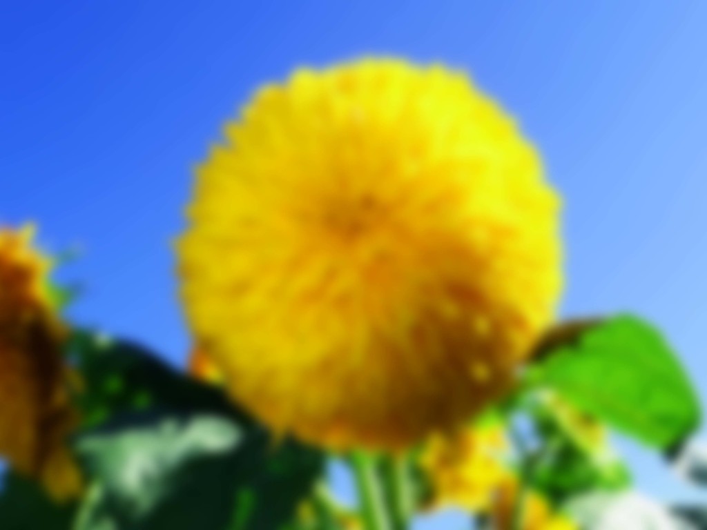 2016-07-0202DD