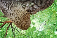 7EFDF479-684E-47F6-B025-7C5537257ABD