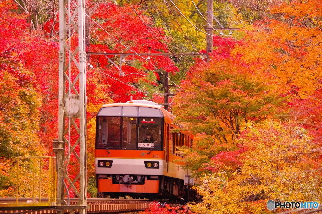 再）ご参考に・・ 同じ場所の秋紅葉風景 by j.enamay （ID：9636096