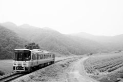 kisin  line