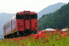 播但線「普通」和田山行