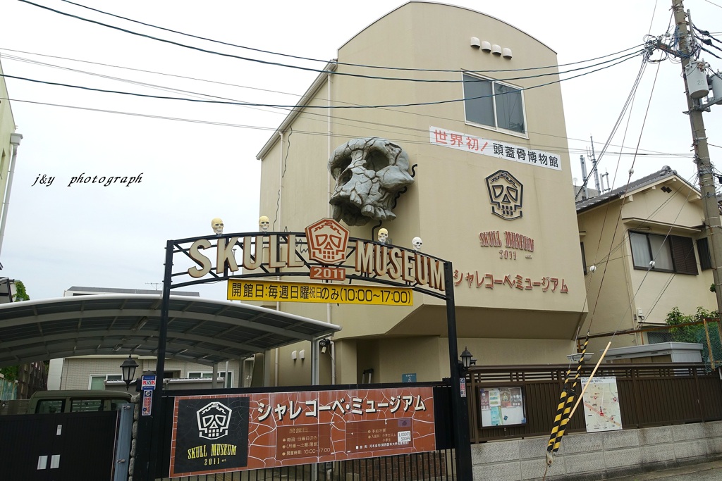 頭骸骨博物館
