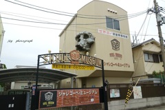 頭骸骨博物館