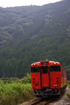 深緑の鉄路　3
