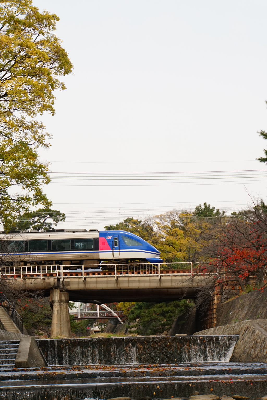 特急スーパーはくと横顔
