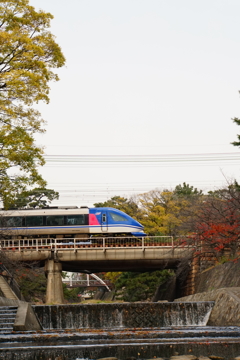 特急スーパーはくと横顔