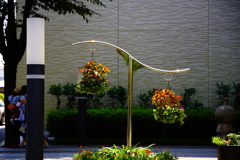 神戸ﾊｰﾊﾞｰﾗﾝﾄﾞ「花壇」
