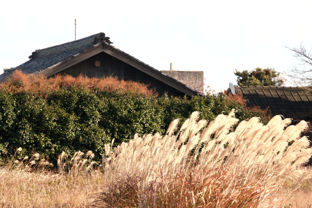 里山　冬景色