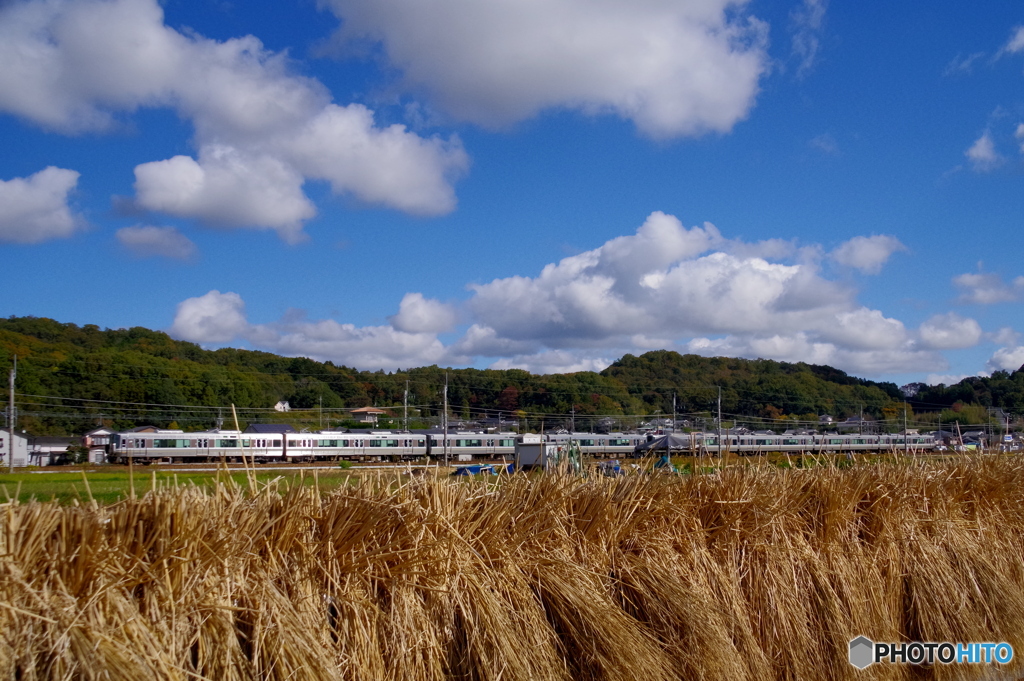 はぜかけのある風景