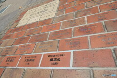 叶わなかった夢