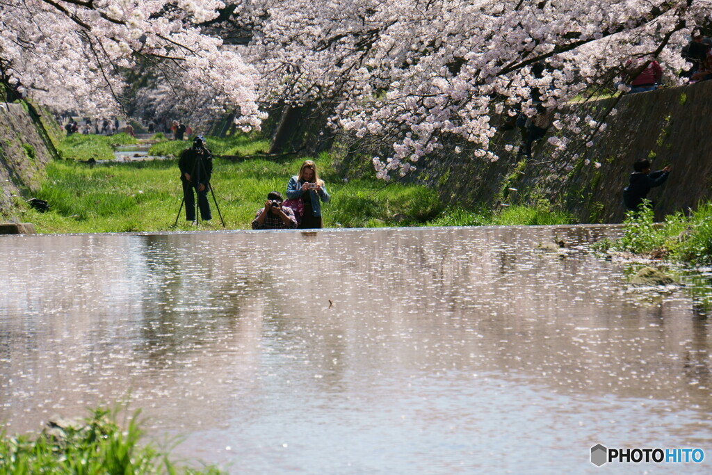 撮り合いっこ