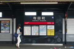 今年の取り組み課題「大阪環状線全駅で降りて撮る」　10駅目　寺田町