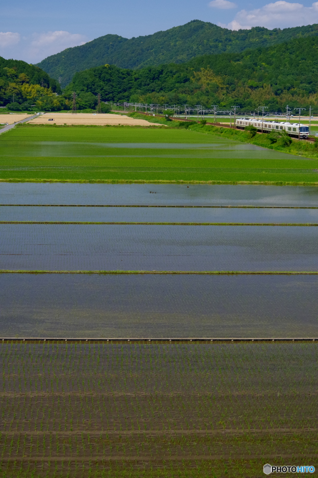田植えが終わって