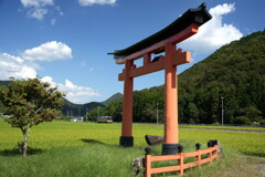 赤鳥居と鉄道の風景