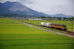 三岐鉄道「かわいい編成」