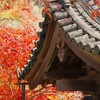 長谷寺を切り撮る