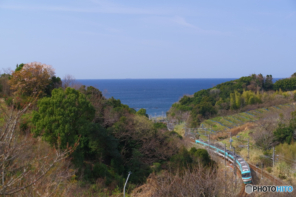太平洋を望む