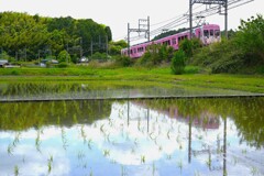 くノ一電車走る