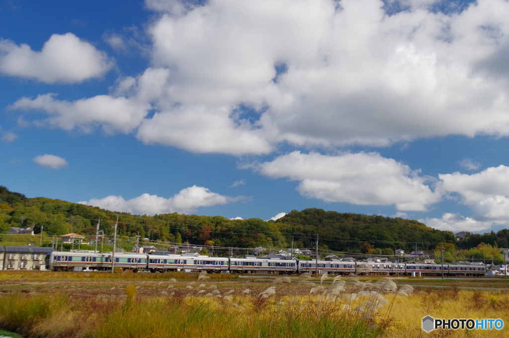 初冬の野原風景