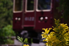 線路端の風景④ 線路端の風景④