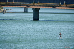 夏の瀬田川スナップ