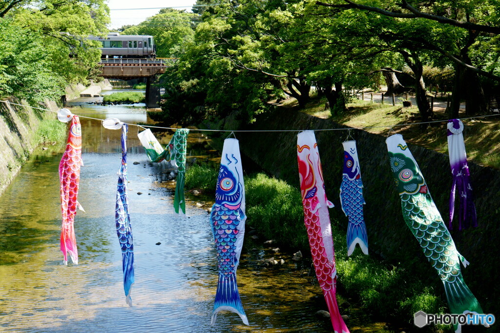 端午の節句の鉄道風景