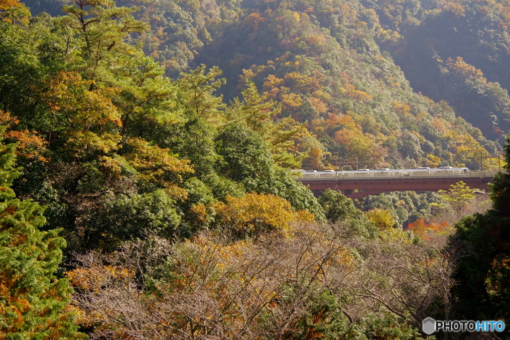 保津峡駅