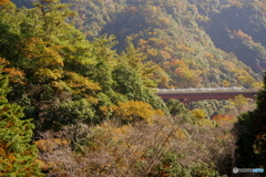 保津峡駅